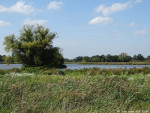 Waterbuffer Dakhorst